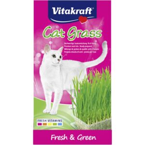 Cat-Gras i Bakke