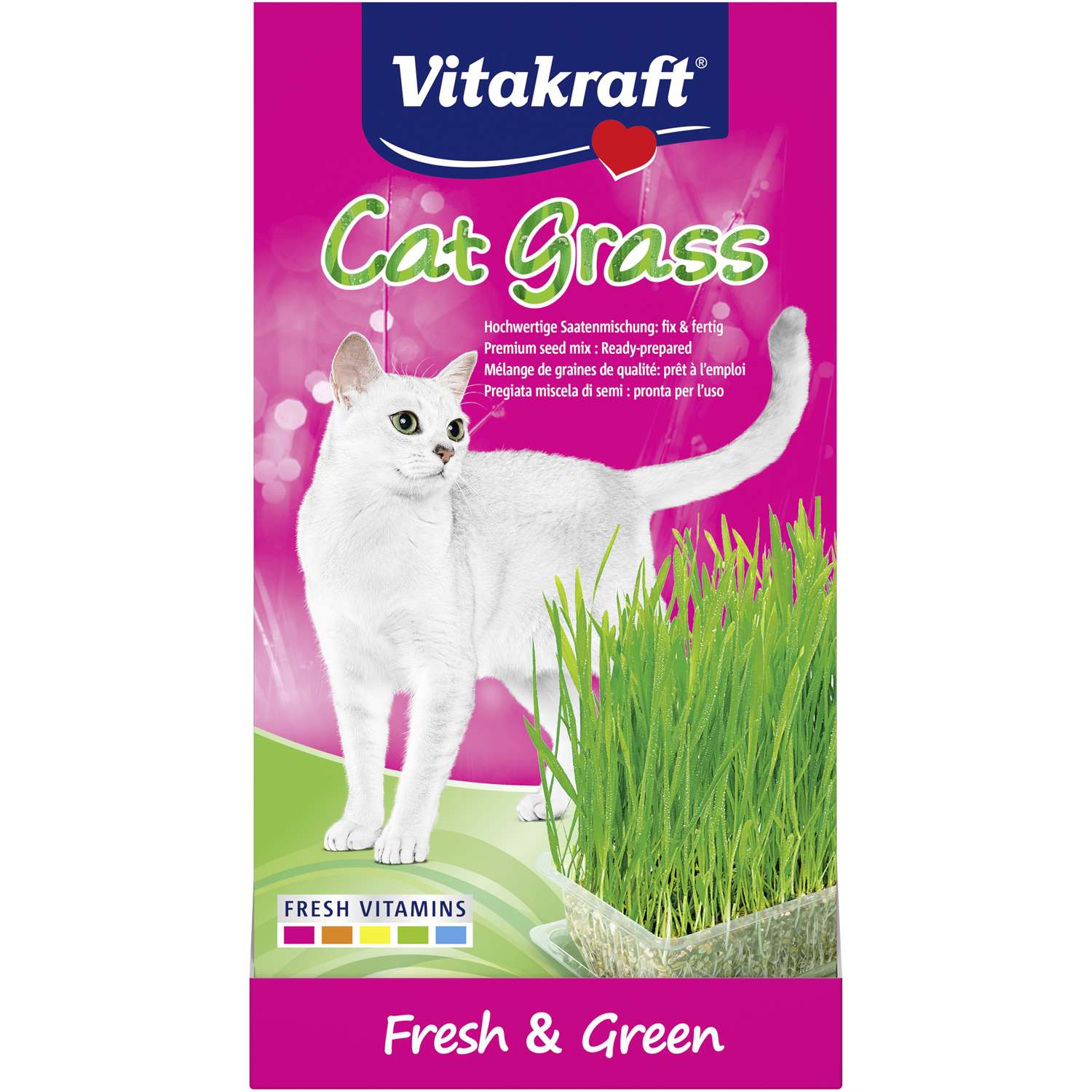 Cat-Gras i Bakke
