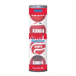 KONG Signatur bolde 4 pk. Medium Mix