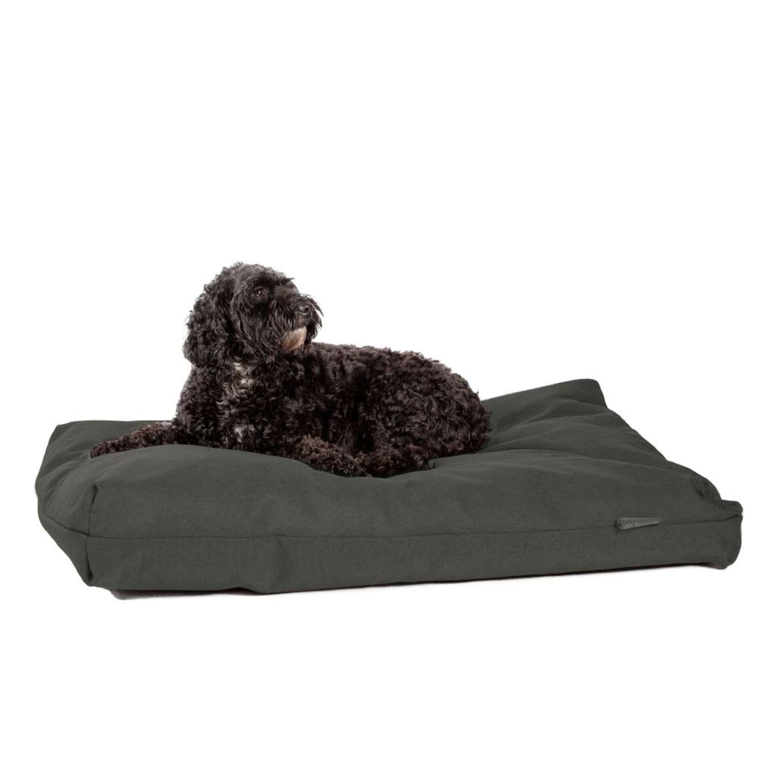 Hundeseng / kurv - Antibacterial Bed Grey - Green - L-70 x 114 cm