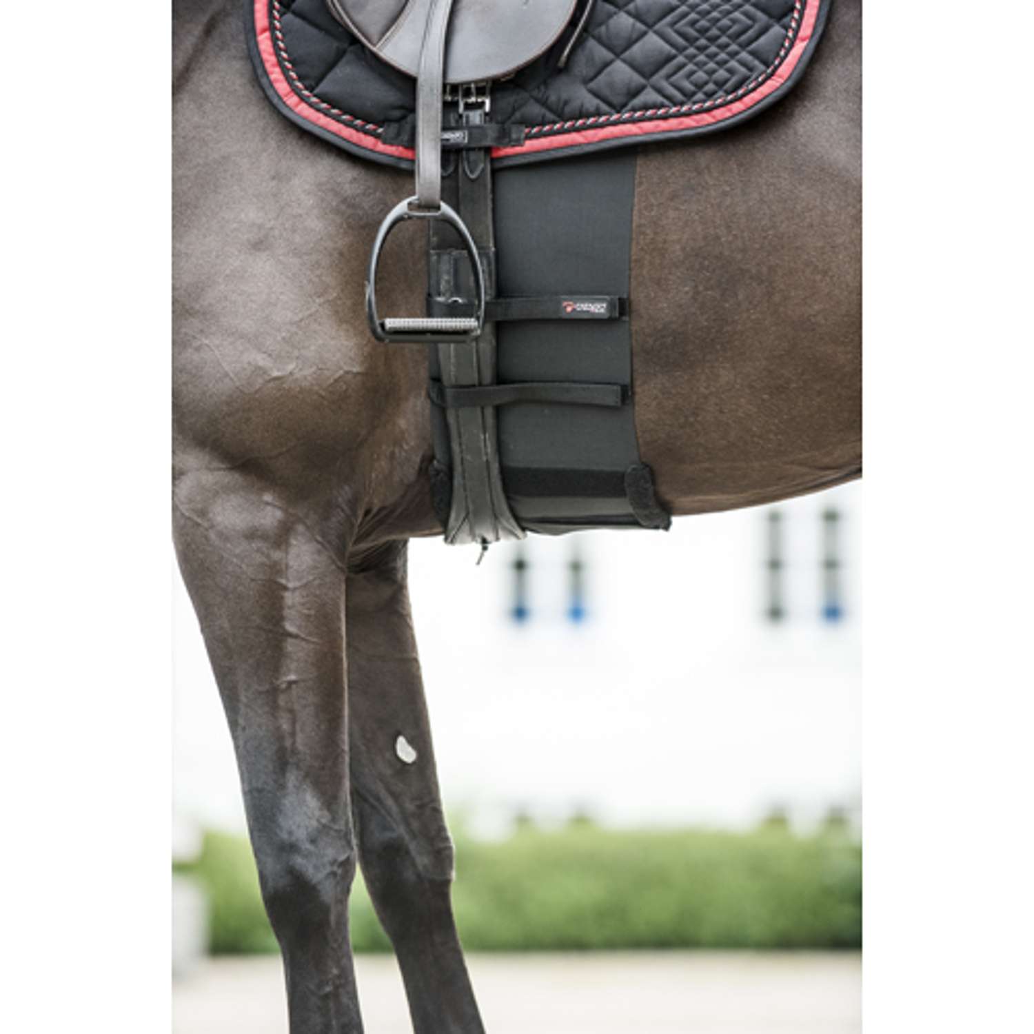 Body shield - Black - S