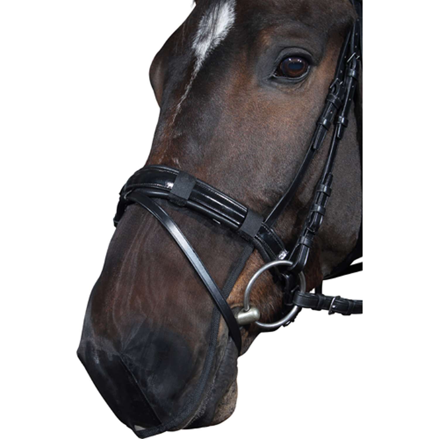 HorseGuard mulenet - Black - X-FULL