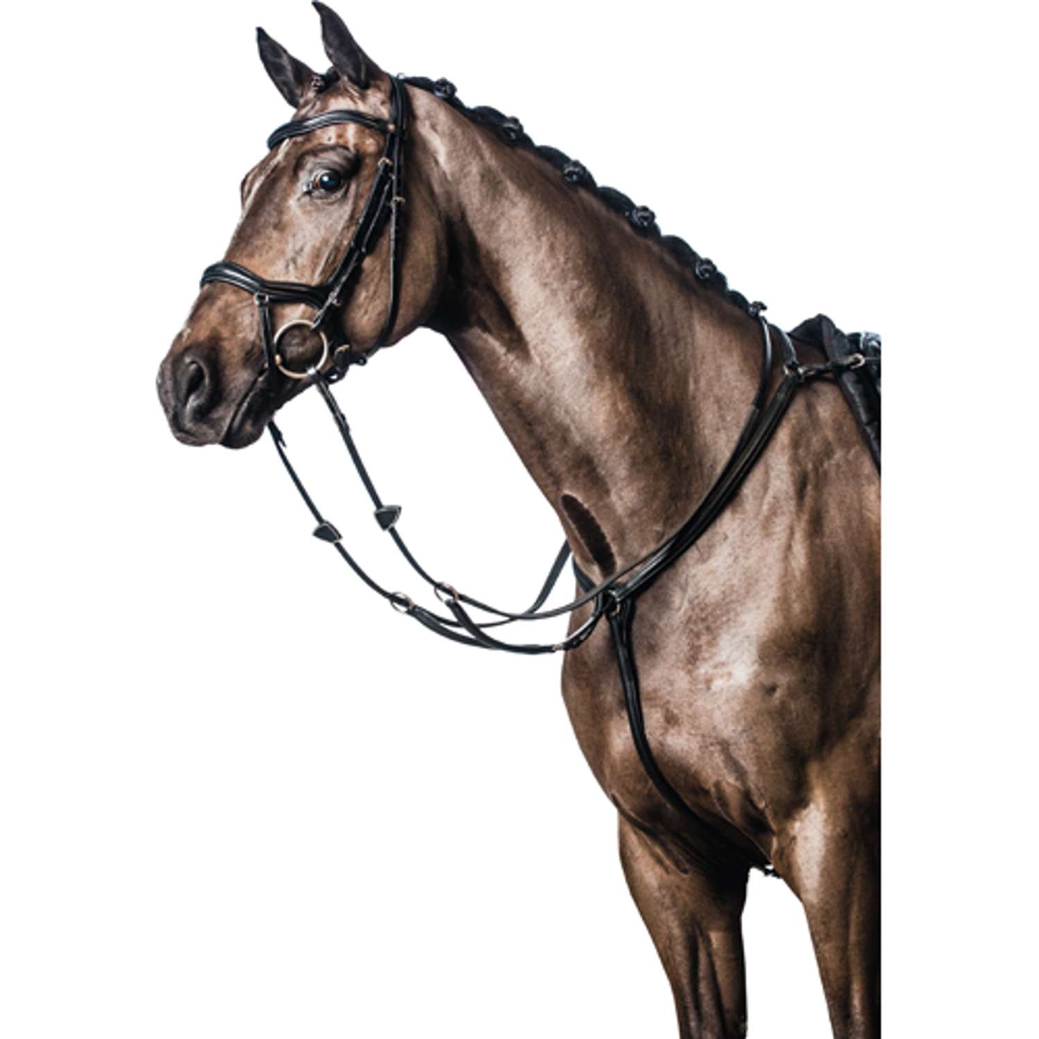 SOFT LEATHER BREASTPLATE - Black - COB