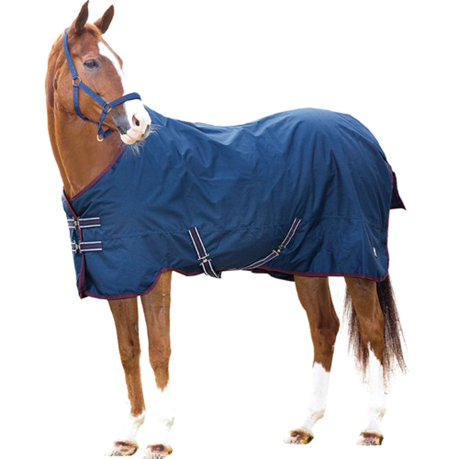 TURNOUT RUG 0G 600D - Blue - 125