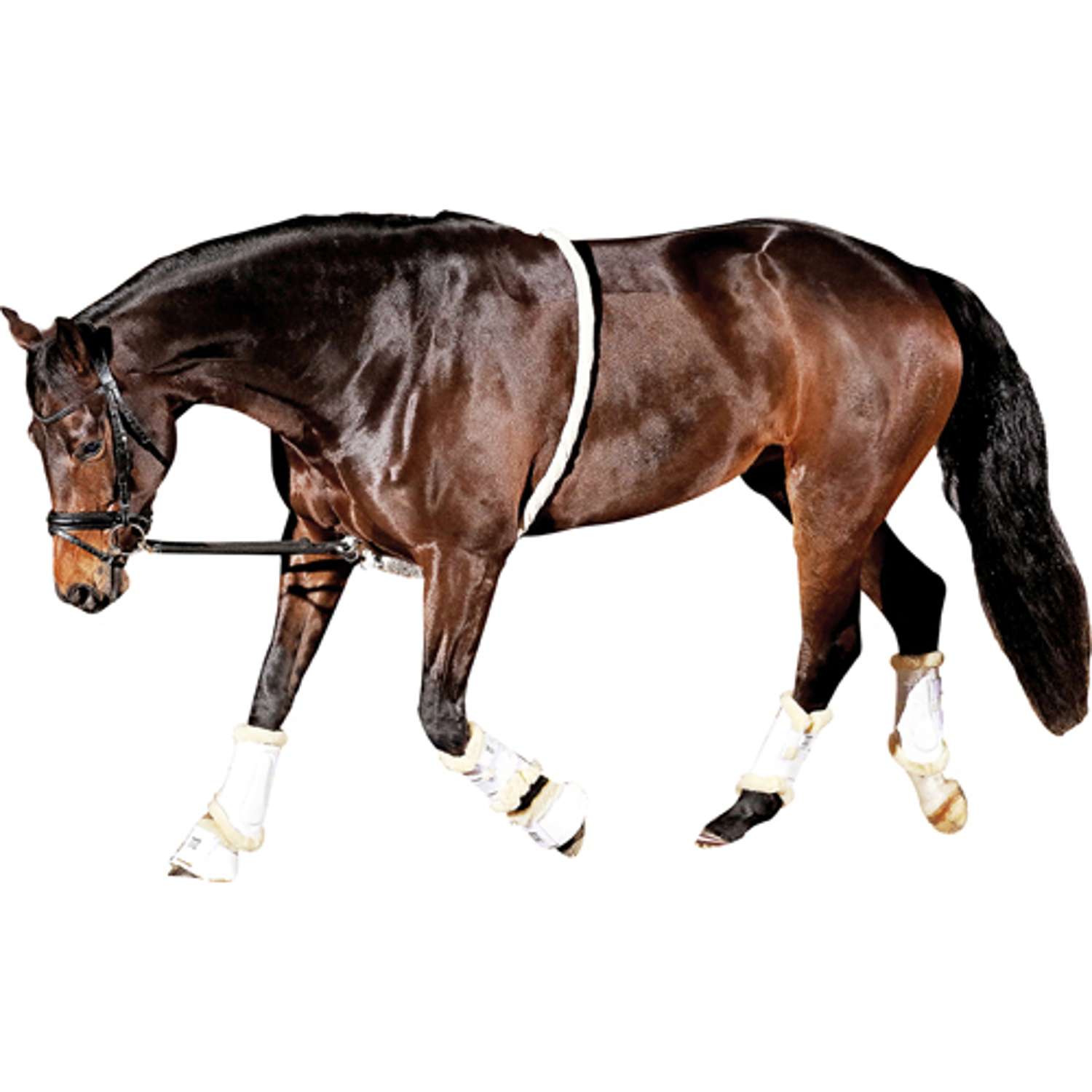 Soft Longeringshjælp - PONY/COB