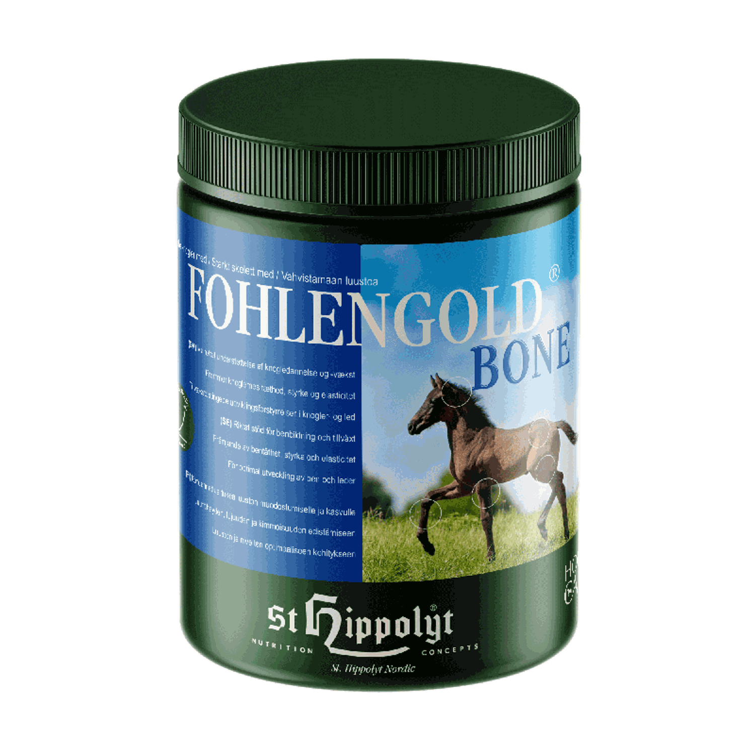 St. Hippolyt FohlenGold Bone