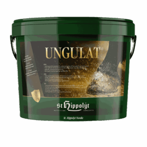 Ungulat