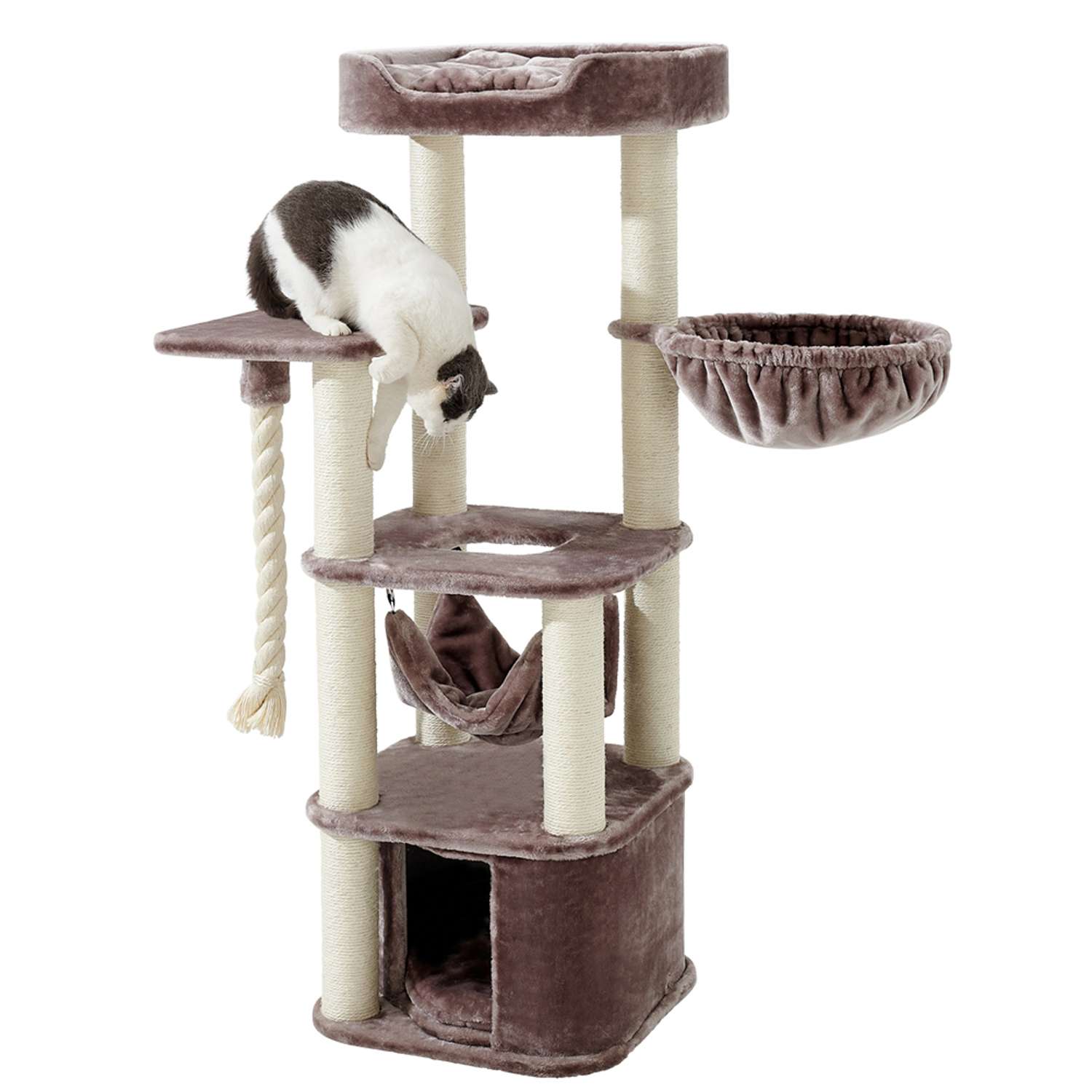 Cat-scratcher Classic "ZADA"