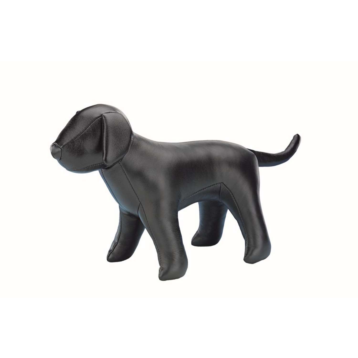 Udstillingshund, Stor