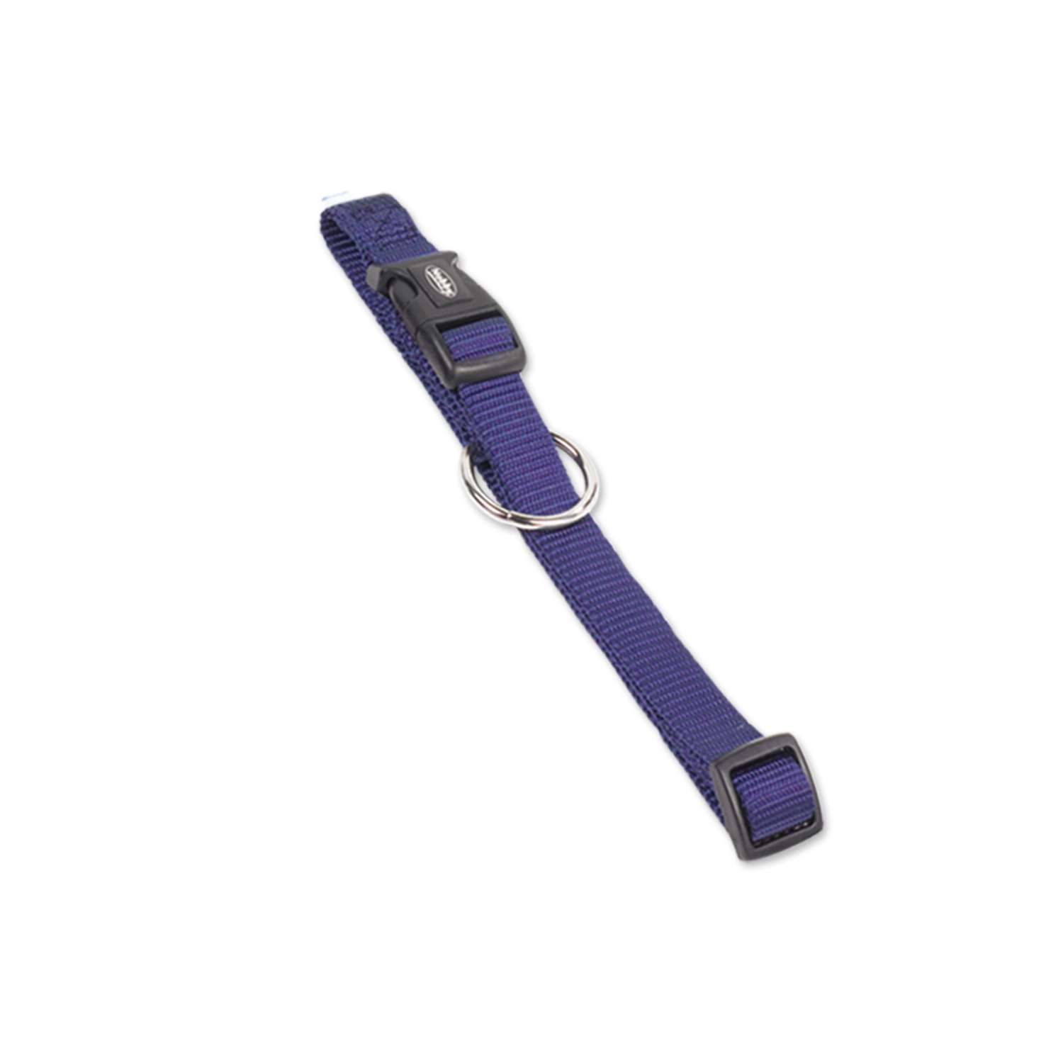 Hundehalsbånd "CLASSIC" - Blue - S - M