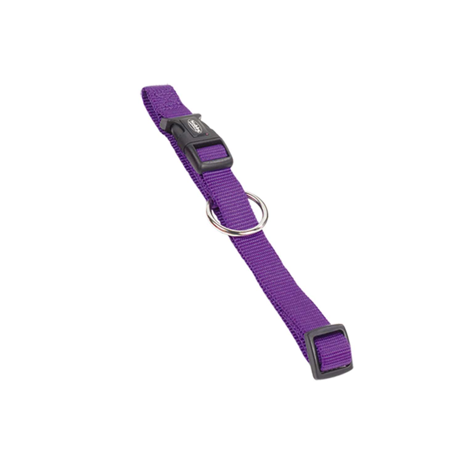 Hundehalsbånd "CLASSIC" - Purple - S - M