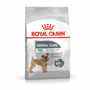 Dental Care Mini