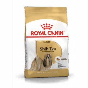 Shih Tzu Adult