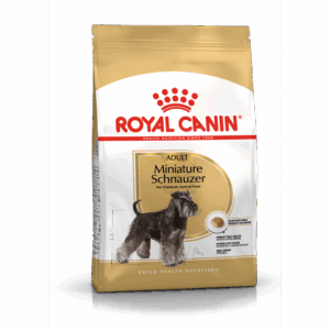 Miniature Schnauzer Adult