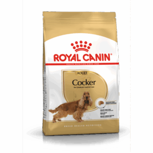 Cocker Adult