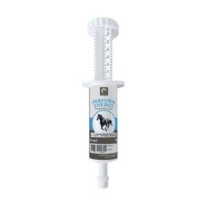 Equsana Perform Energy 60 ml