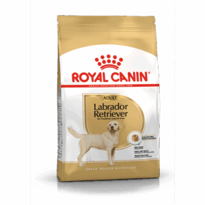 Labrador Retriever Adult 12 kg