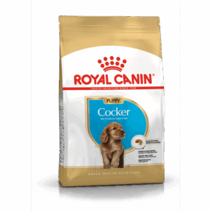 Cocker Puppy 3 kg