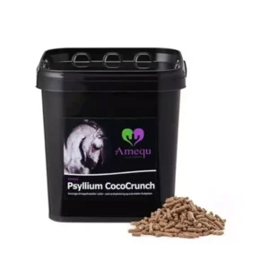 Psyllium CocoCrunch