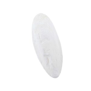 Sepiaskaller 1, 15-20 cm, 1 kg