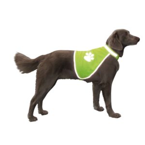 Sikkerhedsvest L