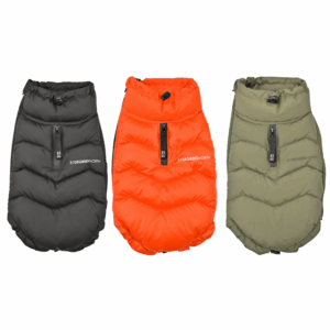 Teckel Dunsy Coat (Dachshund)