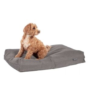 Antibacterial Bed Grey